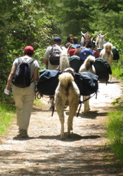 PLTA Mileage Program llamas hiking 